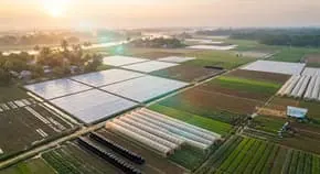 Aerial view of farmland covered with plastic greenhouse film